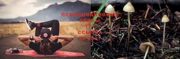 МДПВ Киренск
