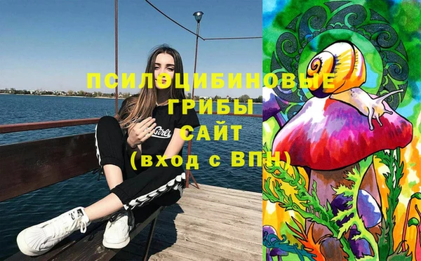 ГАЛЛЮЦИНОГЕННЫЕ ГРИБЫ Киреевск