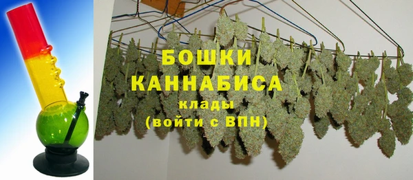 ГАЛЛЮЦИНОГЕННЫЕ ГРИБЫ Киреевск