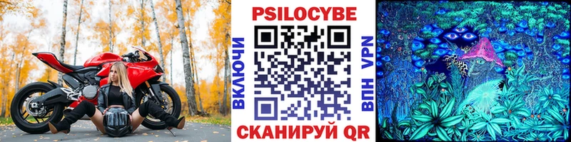Псилоцибиновые грибы Cubensis  Купить  Урень 